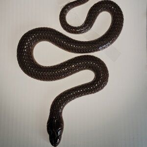 SNAKE winder BROWN Resin Figurine NEW collectible animal reptile GARDEN HOME